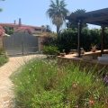 B&B Tanit