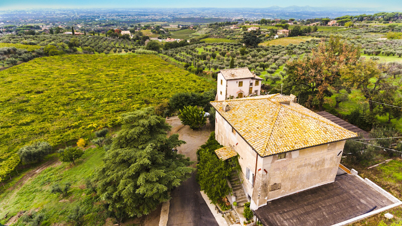 B&B The Old Frascati in Frascati, Italy