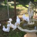 B&B Valle Verde