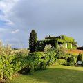 B&B Vigna Luisa