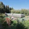 B&B Villa Casablanca