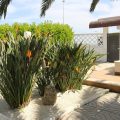 B&B Villa Elvira