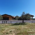 B&B degli Ulivi