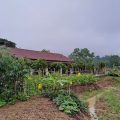 Ban Lom Jen Homestay