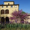 Bella di Ceciliano
