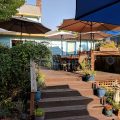 Blue Moon Inn
