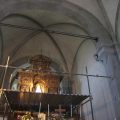 Bosco ai Frati