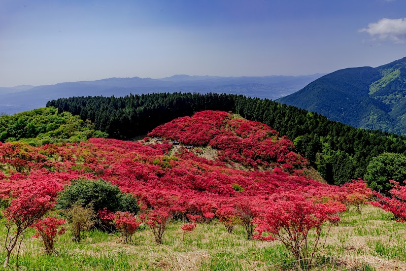 Caravan in Katsuragi, Japan