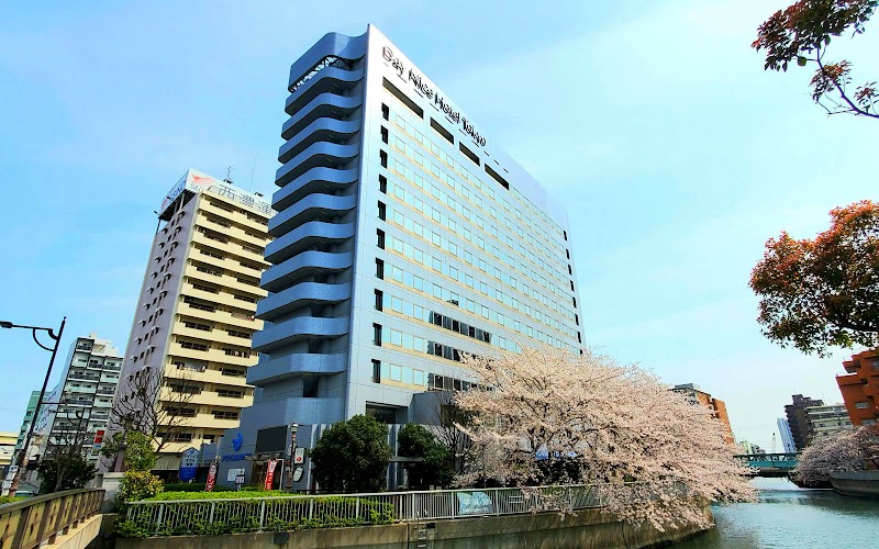Day Nice Hotel Tokyo in Koto-ku, Japan