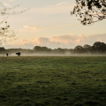 Green Farm Spa & Retreat