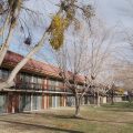 Green Tree Inn