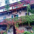 Home Story