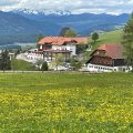 Hotel Amaten