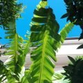 Hotel Baia Blu