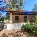 Hotel Camping Fico d’India