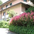 Hotel Canturio