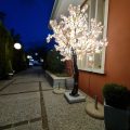 Hotel Cima