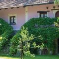 Hotel Il Gelsomino
