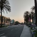 Hotel Indigo Anaheim, an IHG Hotel