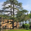 Hotel La Corte