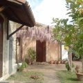 Hotel La Gabbianella E Il Gatto