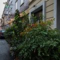 Hotel Lux