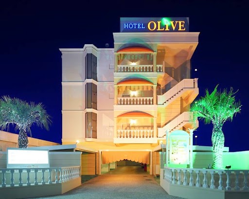 Hotel Olive Sakai (Adults Only) in Sakai, Japan