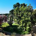 Hotel Park Jonio