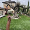 Hotel Traube