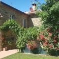 Hotel Vicus Major
