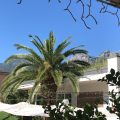 Hotel Villa Franca