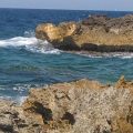 Il Carrubo del Salento