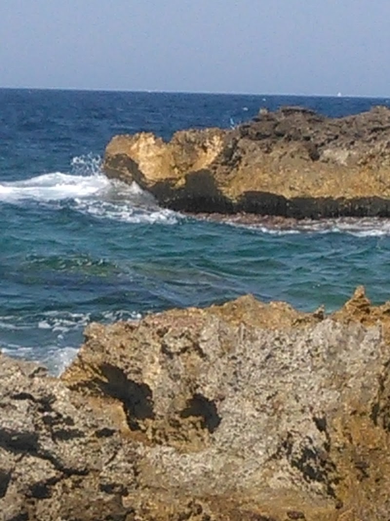 Il Carrubo del Salento in Copertino, Italy