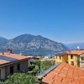 Il Gelsomino