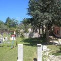 Il Glicine