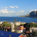 Il Glicine sul Golfo