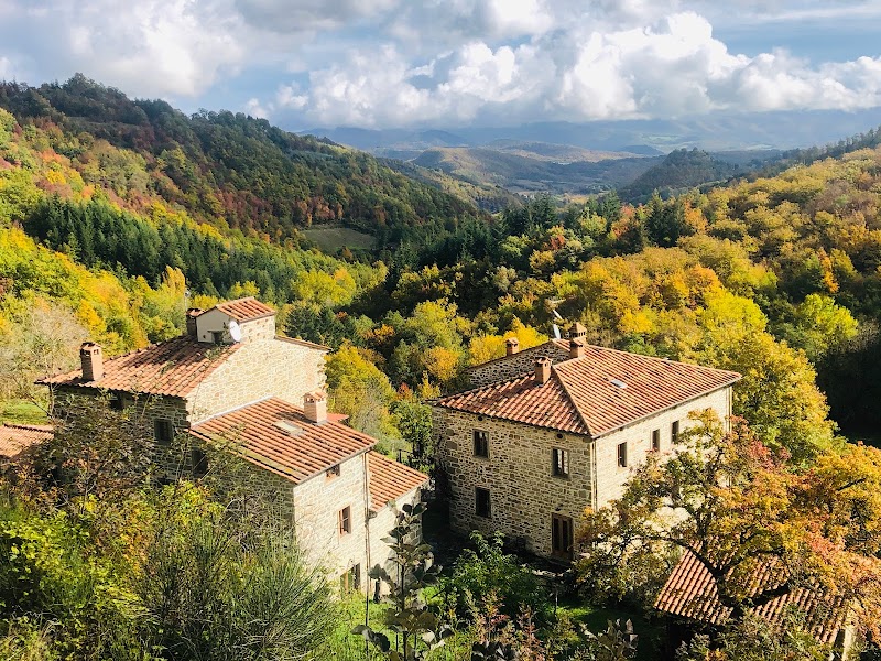 Il Vigno in Bibbiena, Italy