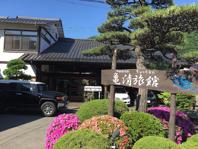 Kamesei Ryokan in Chikuma, Japan