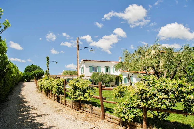 La Piccola Fattoria in Formello, Italy