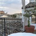 Le Foglie di Acanto