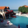 Mangos Jamaica