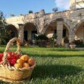 Masseria Asciano