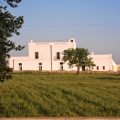 Masseria Ciavea