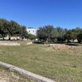 Masseria Palmo