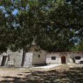 Masseria Ruòtolo