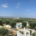 Masseria Torre Abate Risi