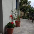 Mastic Point Studios
