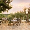 Momentum Wellness Bio Resort