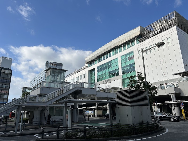 Odawara Terminal Hotel in Odawara, Japan