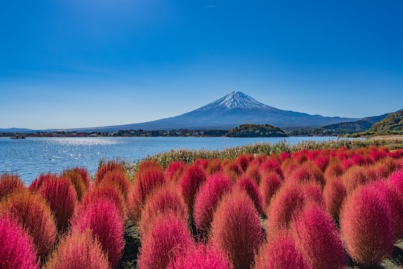 Oishi Gakko in Koshu, Japan